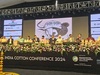 Cotton pulse 2024   16